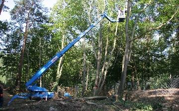 Baumschnitt Hamburg Baumschnitt Lüneburg Baumschnitt Uelzen Baumschnitt Bremen Baumschnitt Lübeck Baumschnitt Soltau